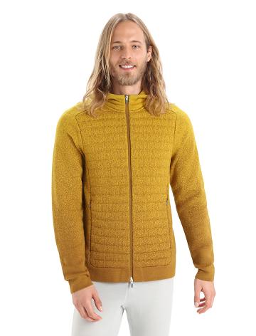 Pánské Mikiny S Kapucí Icebreaker ZoneKnit™ Merino Insulated Long Sleeve Zip Into the Deep Zlaté | CZ 1688KORI